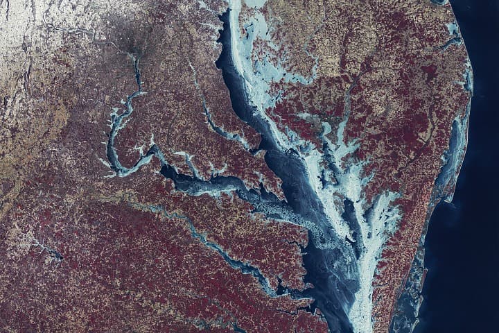 Chesapeake Körfezi Buzla Kilitlendi