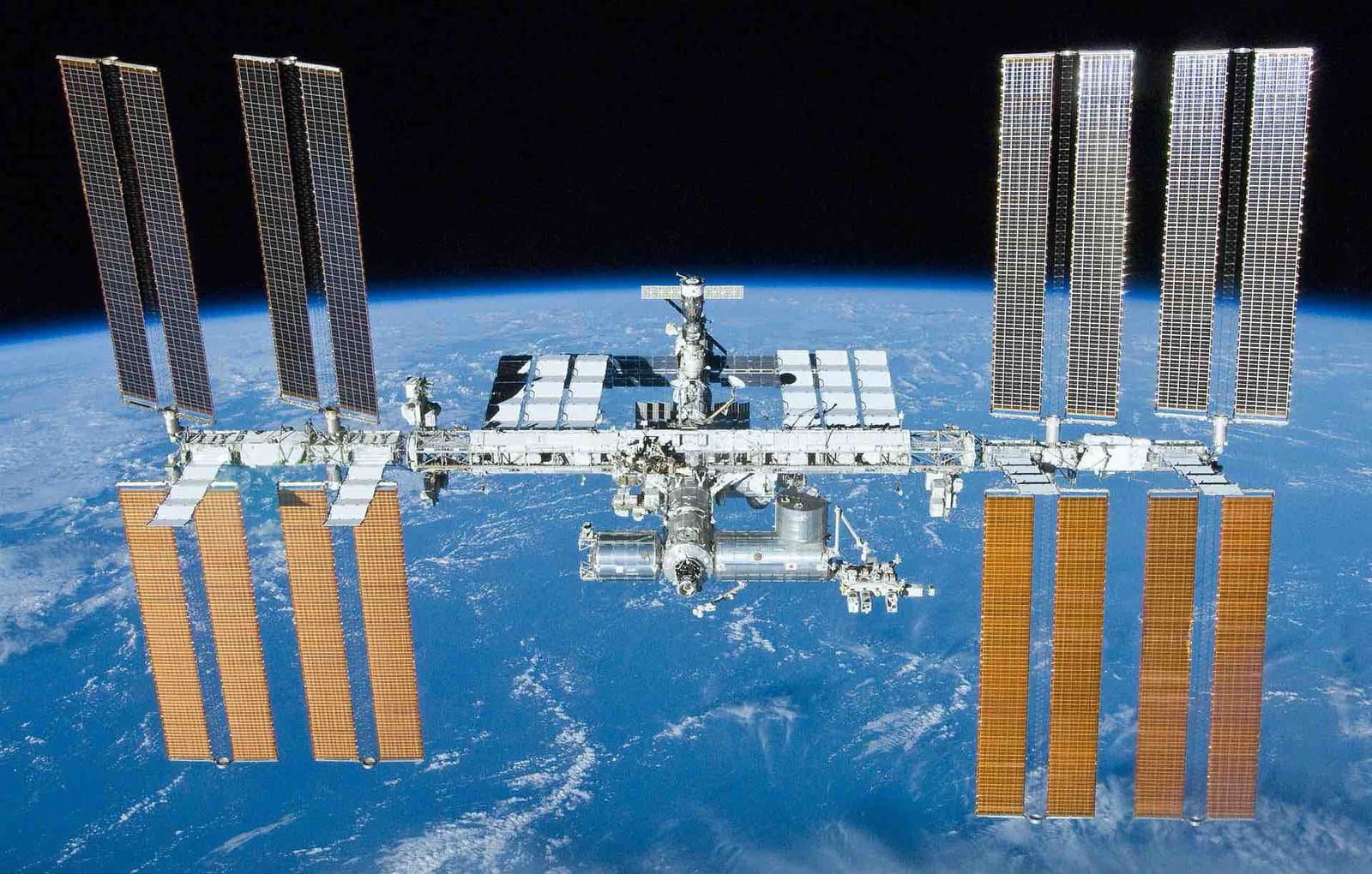 Astronotlar Uzaya Aşırı Bir Dünya Organizması Yerleştirdi. Dokuz Ay Sonra Hala Hayattaydı