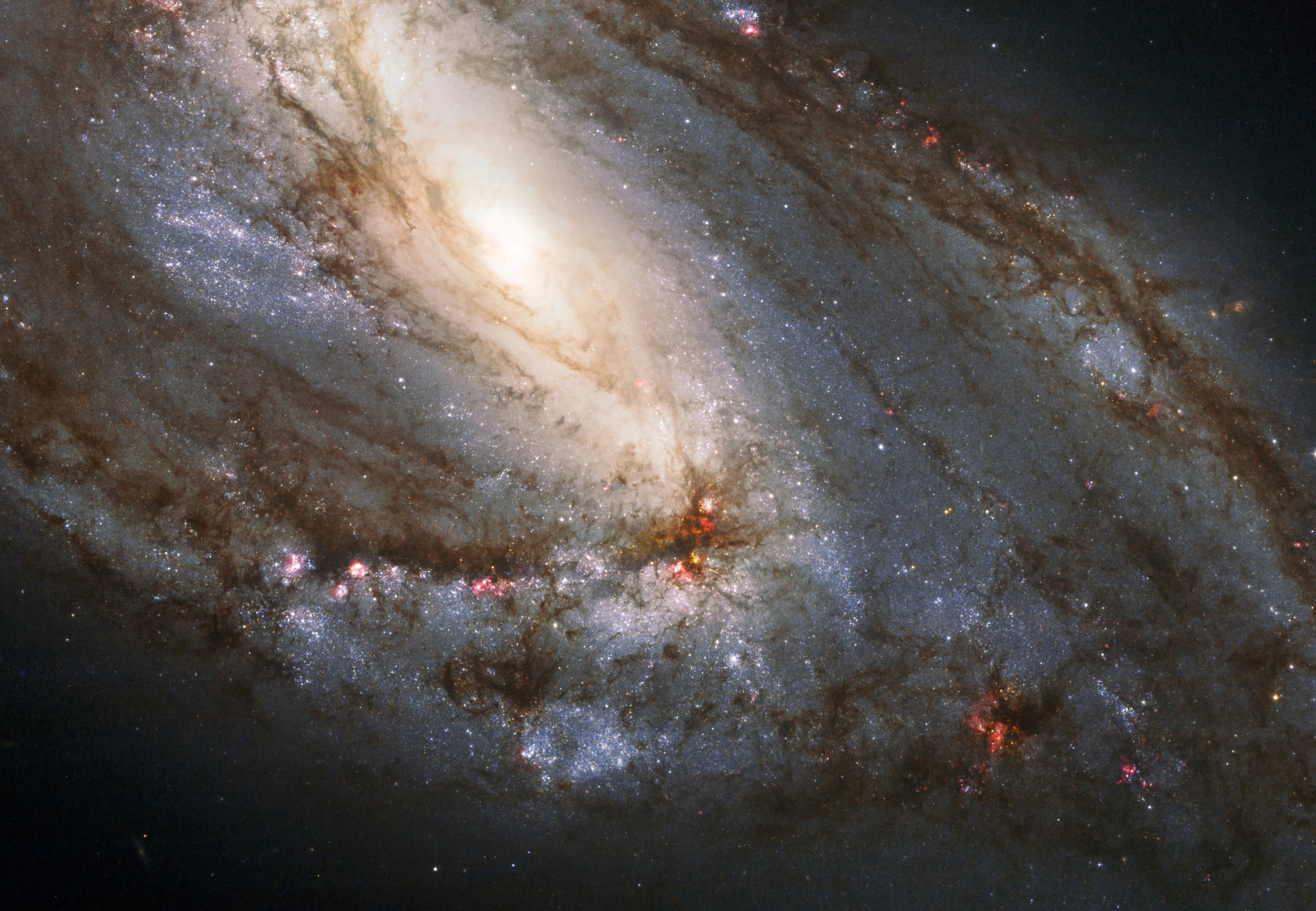 Aslan burcundaki gök harikaları - NASA Bilim