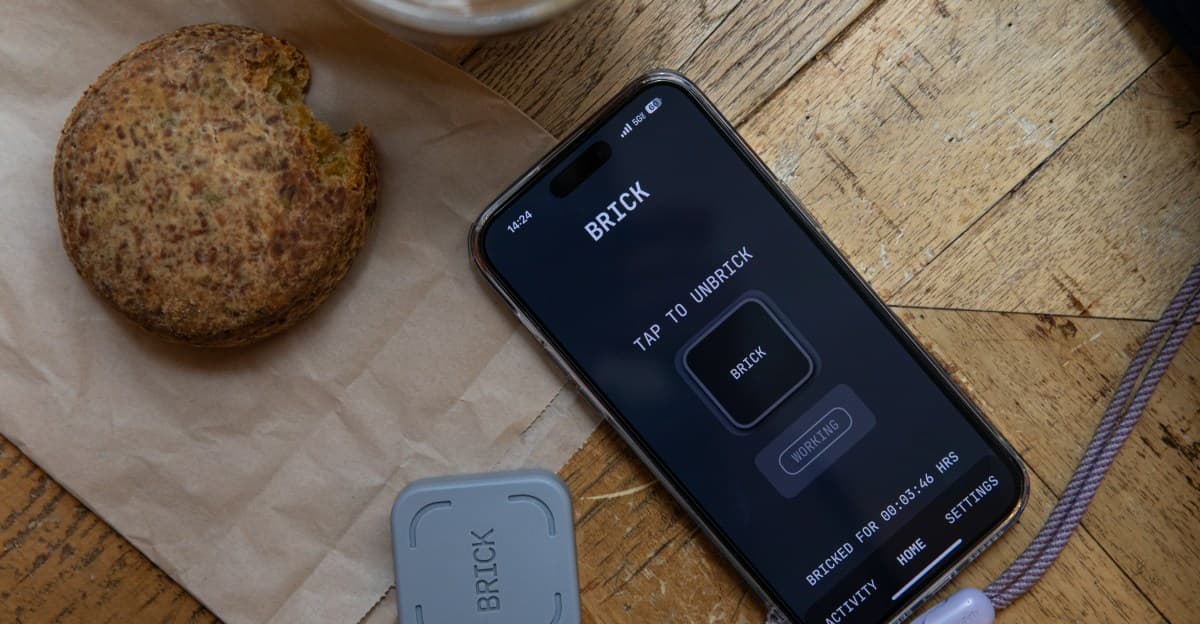 Beynimi düzeltmek için telefonumu 'tuğla' denedim