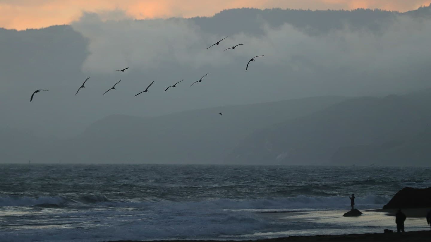 8.8 Deprem Rusya'ya çarpıyor; Tsunami dalgaları California'ya ulaşır