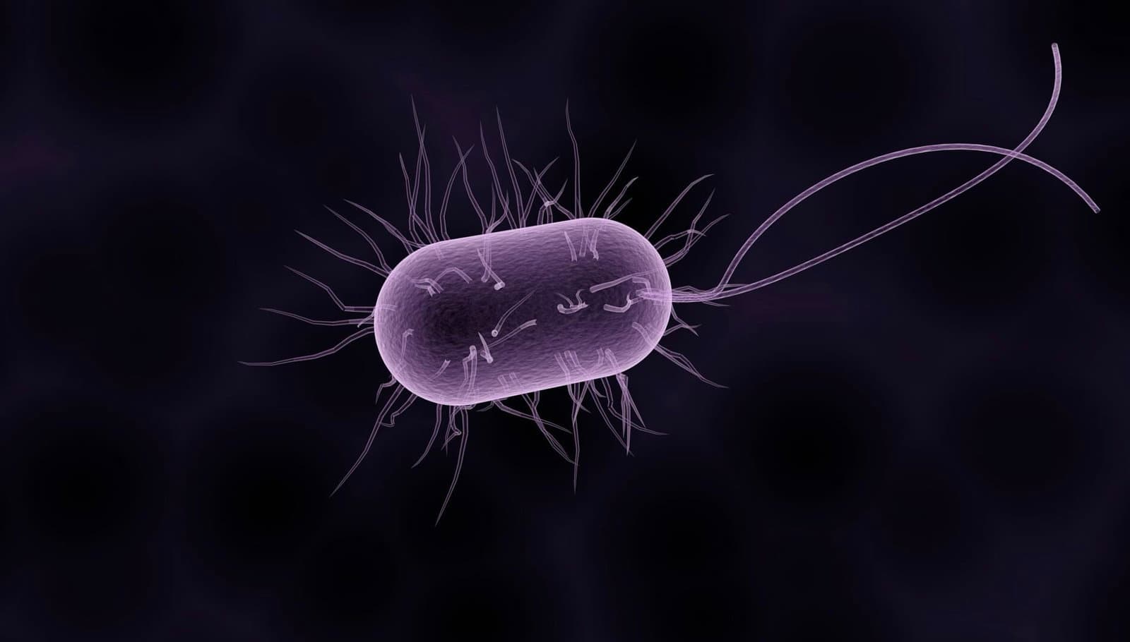 AI, yeni nesil antibiyotiklerin anahtarını tutabilecek antik mikroplarda büyük bir keşif sunuyor
