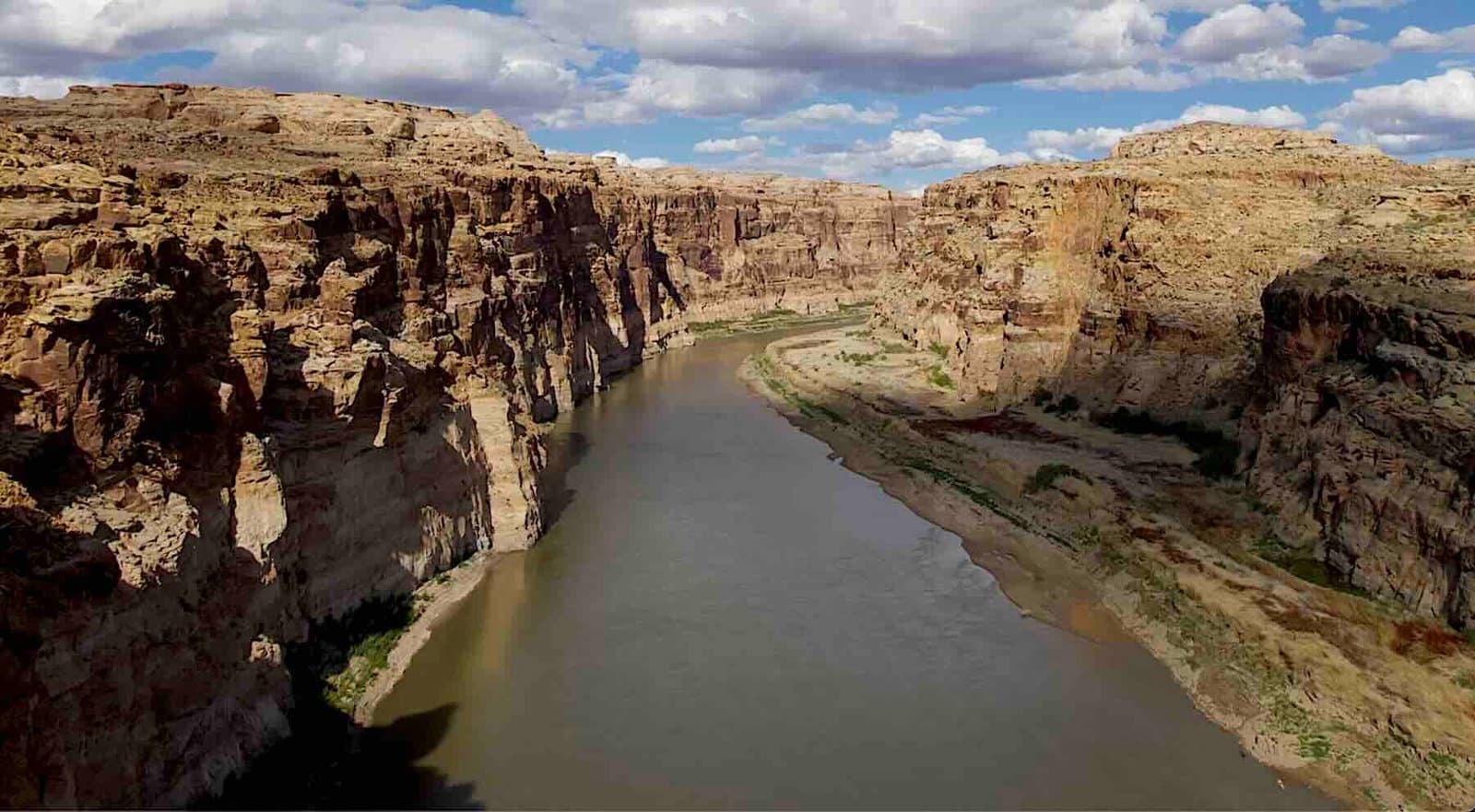Colorado Nehri'nde zararlı bir su istilacı keşfedildi - fayanslar nihayet kökenlerinin gizemini çözdü