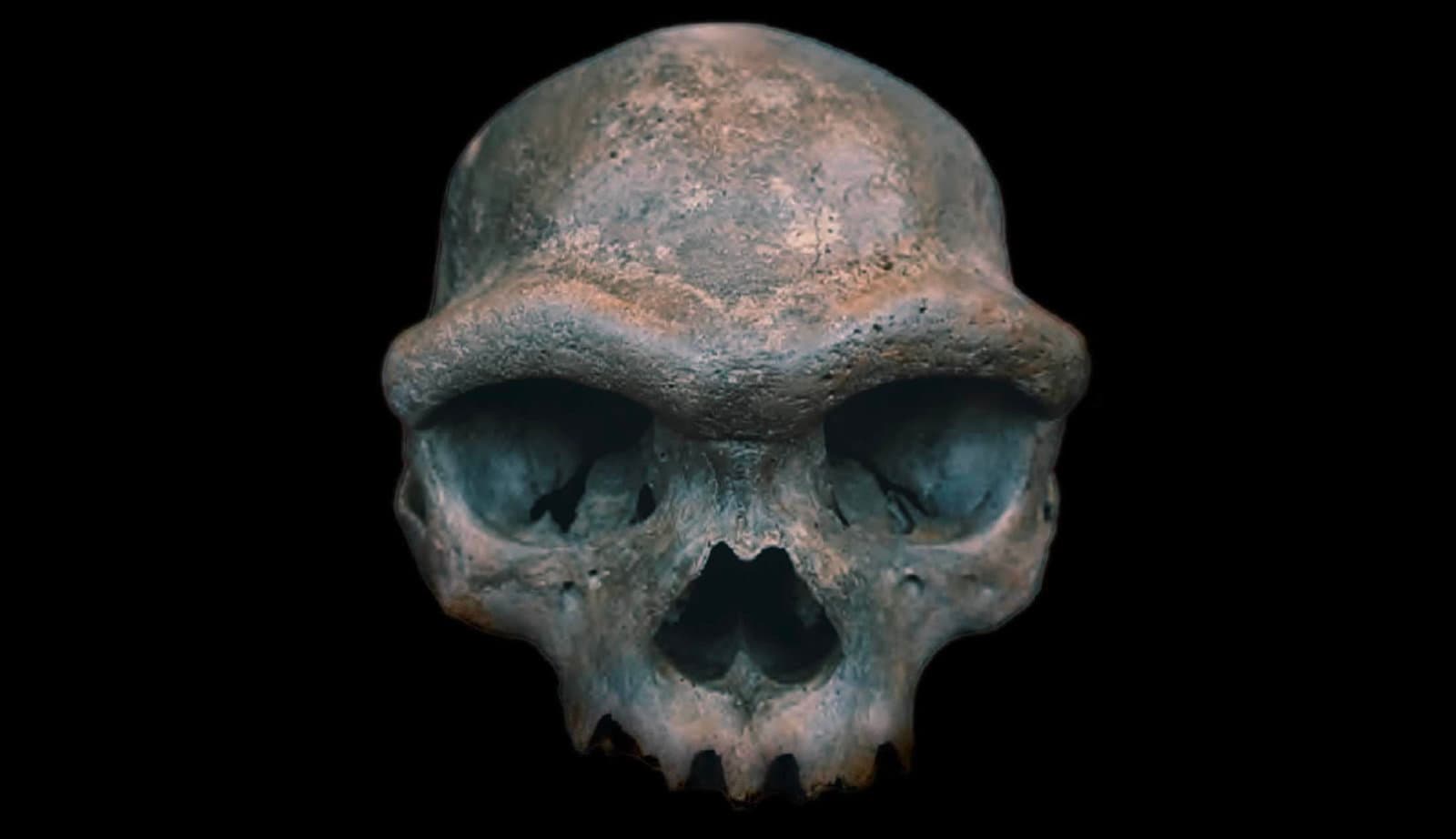 Gizemli antik homininlerden gelen DNA, Amerika'ya gitti ve erken insanların hayatta kalmasına yardımcı olabilir