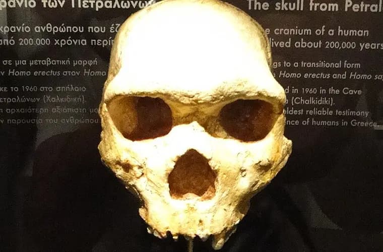 Gizemli 'Petralona Kafatası' nın yeni buluşması, Neandertallerin tarih öncesi Avrupa'da yalnız olmadığını ortaya koyuyor