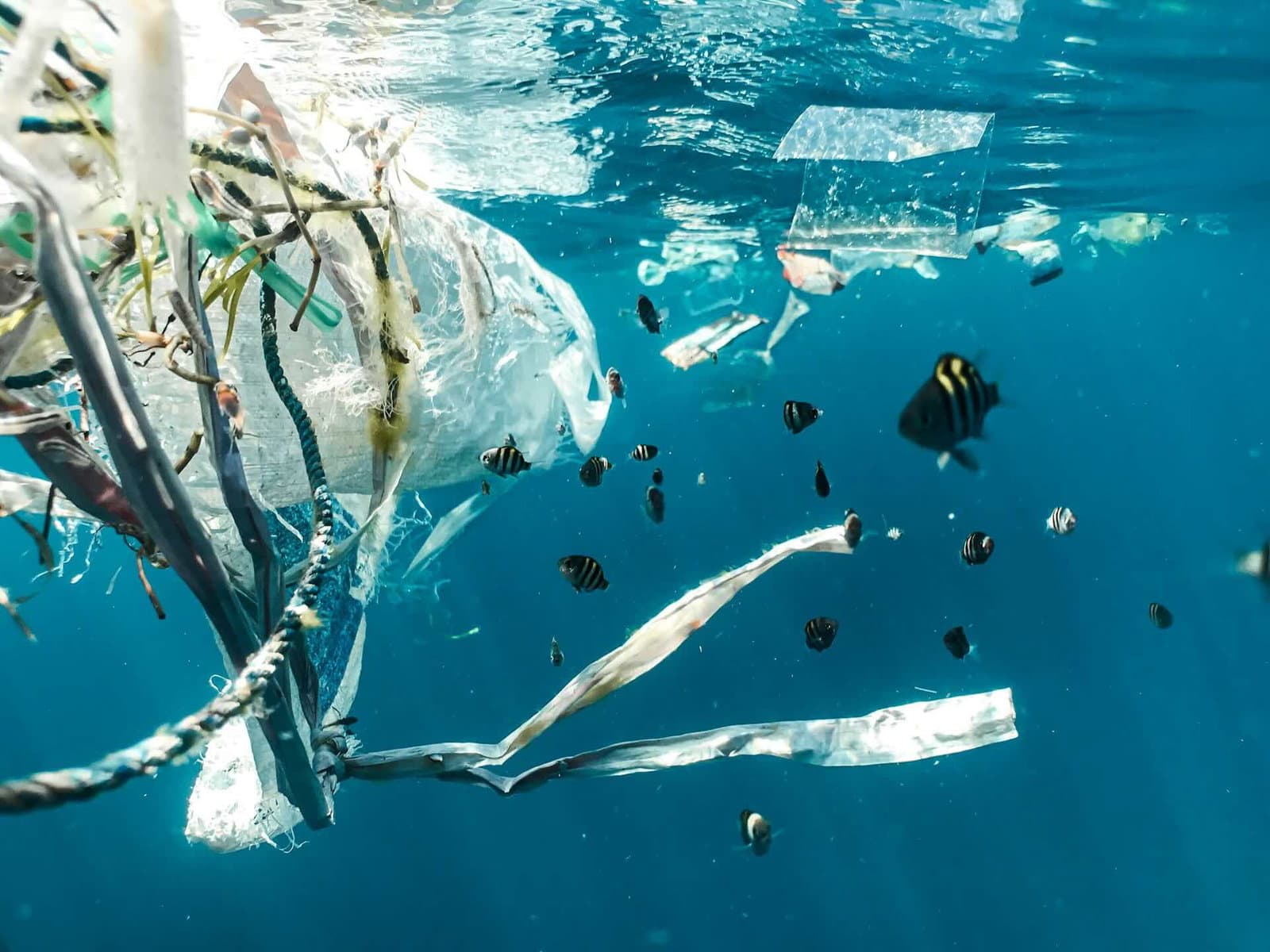 Bu yeni malzeme, karbondioksit yakalayarak iklim krizini çözmek için plastik atık kullanabilir