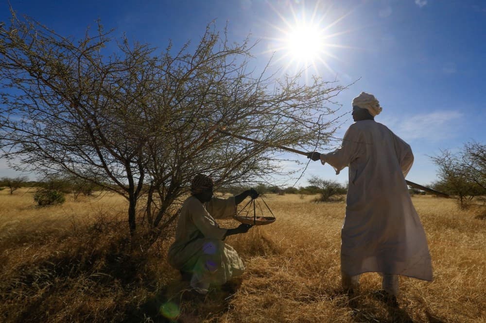Küresel tüketiciler Sudan ve Kongo'da dolaylı olarak fon sağlıyor