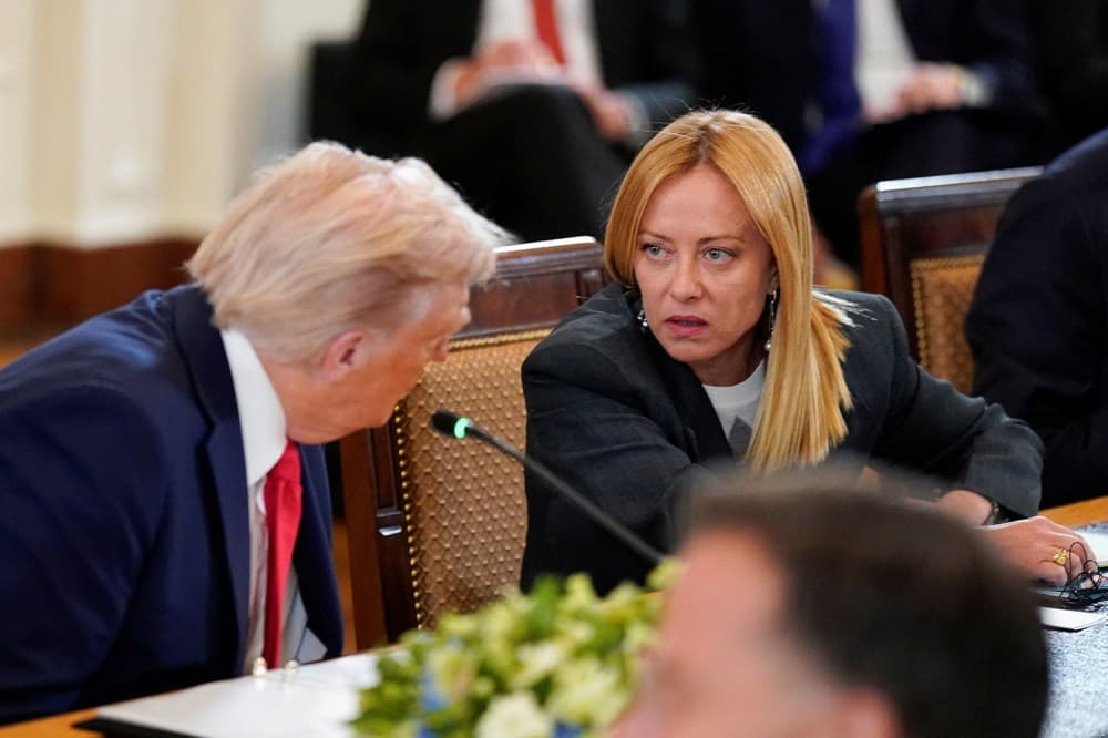Trump'ı ele almak için Avrupa'nın su aygırı stratejisi