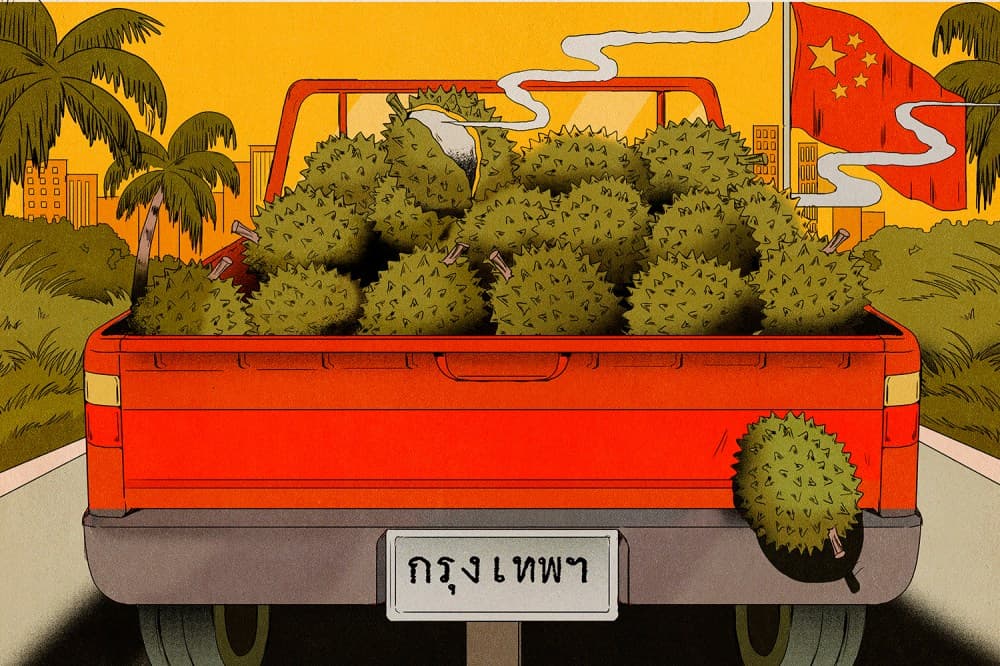 Durian Diplomasisi Çin ve Güneydoğu Asya'da Yükselişte