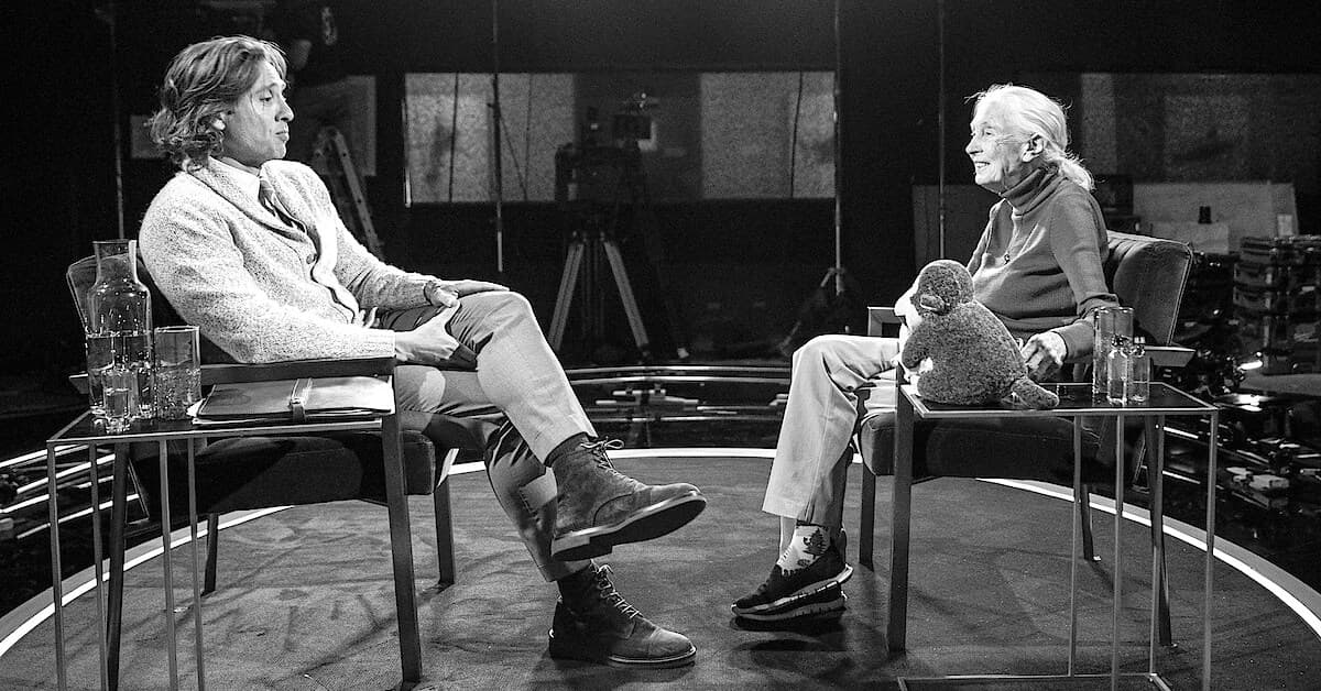 Jane Goodall'ın Ölümü Netflix'in yeni şovunun galasını tetikledi