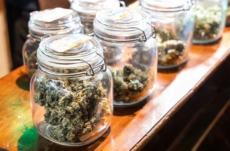 Ot Satıcınıza Güvenebilir misiniz? Yeni Çalışma Esrar Etiketlerinin Neredeyse Yarısının THC Potansiyelini Fazla Gösterdiğini Buluyor