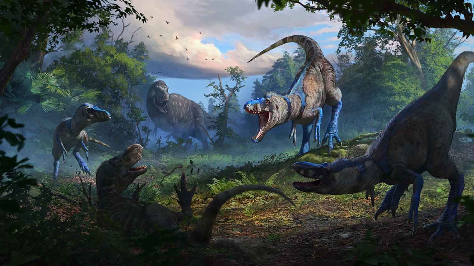Paleontolojide Büyük Değişiklik, 'Genç T. rex'in Aslında Genç Olmadığını Ortaya Çıkardı ve "On Yıllardır Yapılan T. rex Araştırmalarını Kafasında Yerine Getirdi"
