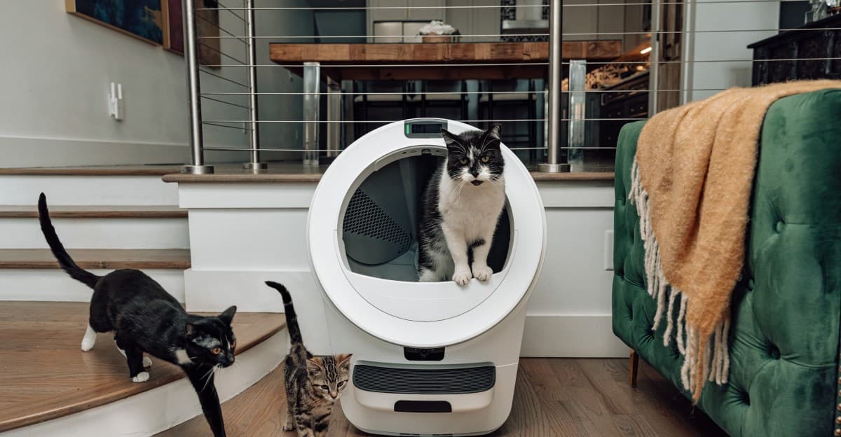 Whisker, biri kameralı olmak üzere üç yeni Çöp Robotunu piyasaya sürüyor