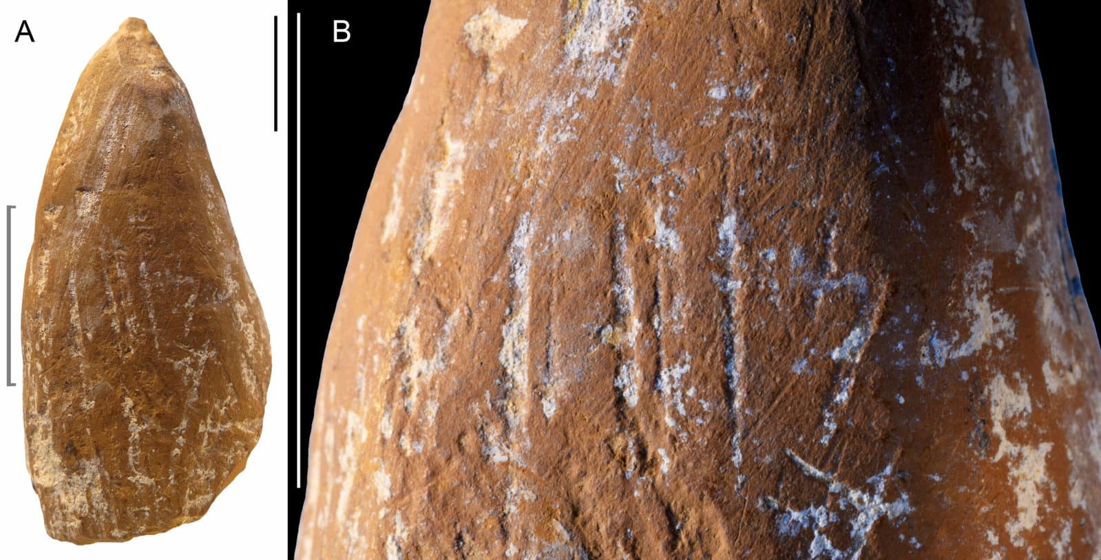 70.000 Yıllık Boya Kalemleri: Yeni Kanıtlar Antik Neandertallerin Sanatsal Araçlar Yarattığını Gösteriyor