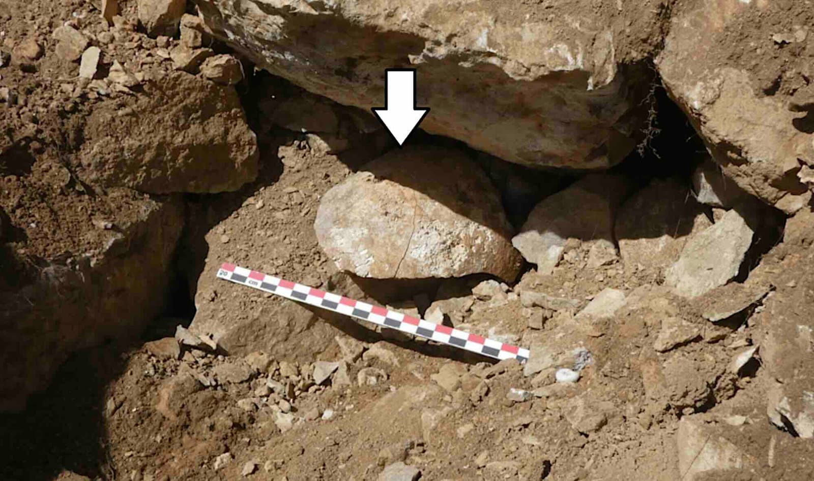 İspanya'da Bulunan Antik Kelt Kafatası, Roma'nın Acımasız Gözdağı Taktiklerinin Hikayesini Ortaya Çıkarıyor