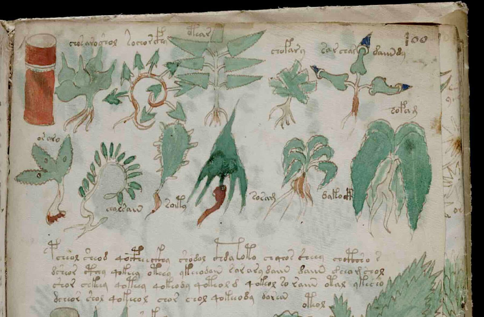 Voynich El Yazması Buluşu mu? “Dünyanın En Gizemli Kitabı”nın Sırrı Eski Bir Şifre Sistemini İçeriyor Olabilir
