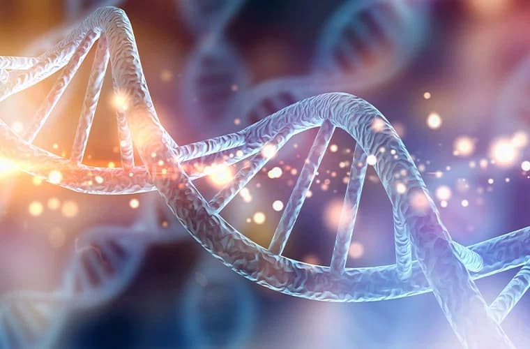 Bilim adamları, Yaşam 'Açılmadan' Önce İnşa Edilen Gizli DNA İskelesini Keşfediyor