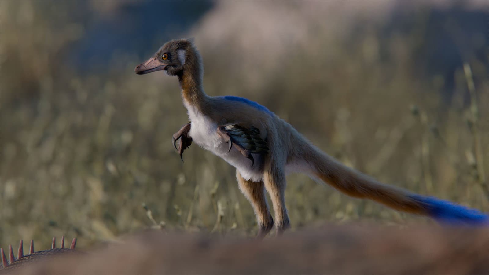 Bu Minik Dinozor Fosili, Olağandışı Bir Dinozor Sınıfının Yayılımını Açıklayan Kayıp Bir Halka Sunabilir