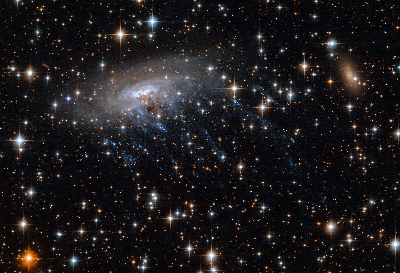 SETI Enstitüsü, İnsanlığın Dünyanın Ötesindeki Yaşama Tepkisini Keşfetmek İçin Keşif ve Gelecek Laboratuvarını Başlatıyor
