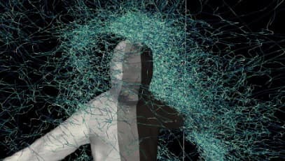 Bilim Adamları Sonunda Sivrisineklerin "Küçük Robotlar Gibi" İnsan Hedeflerine Nasıl Sıfırlandığını Anladılar