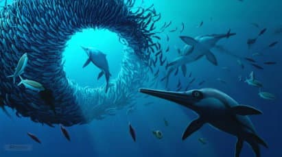 Jura Dönemi 'Kılıç Ejderhası' Fosili, Ichthyosaur Evriminin Zamanlamasını Daraltıyor
