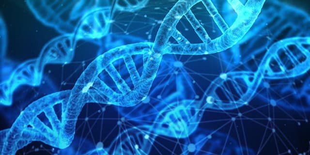 Araştırmacılar Genetiğin Uzun Ömürde Düşünüldüğünden Daha Büyük Bir Rol Oynadığını Söylüyor