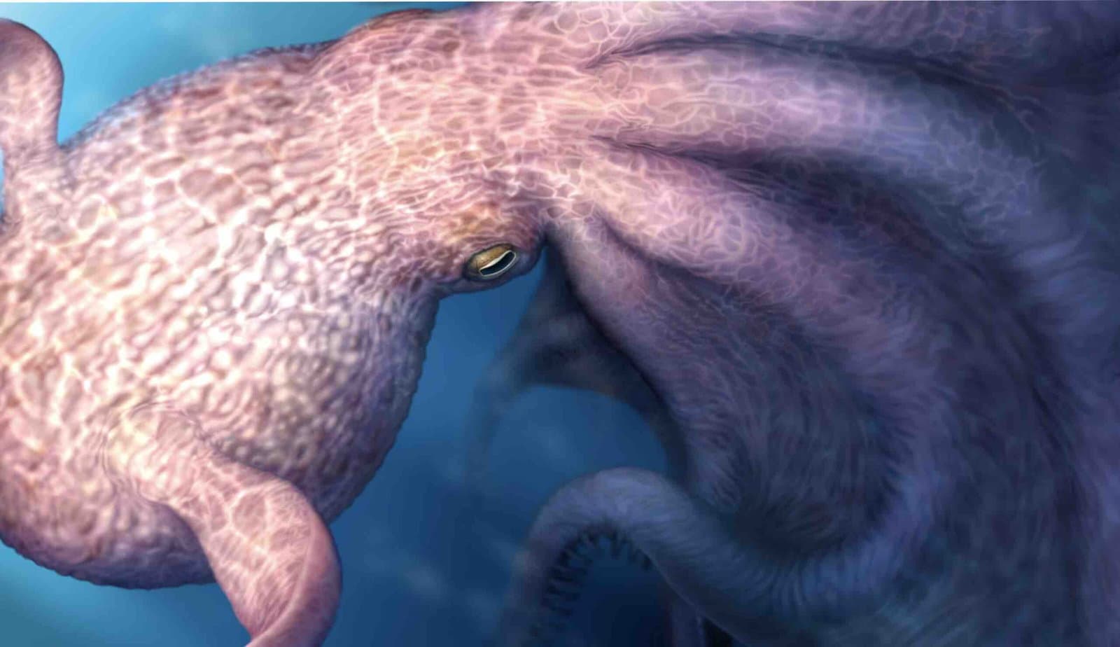 Devasa Ahtapot Fosilleri Bir Zamanlar Okyanuslara Hakim Olan 60 Metrelik "Kraken"i Öneriyor