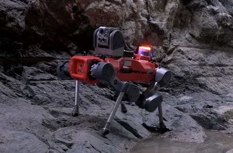 Mars'ta Robot Köpekler mi? Yeni Çalışma Yarı Otonom Makinelerin Gezegen Keşiflerini Dönüştürebileceğini Gösteriyor