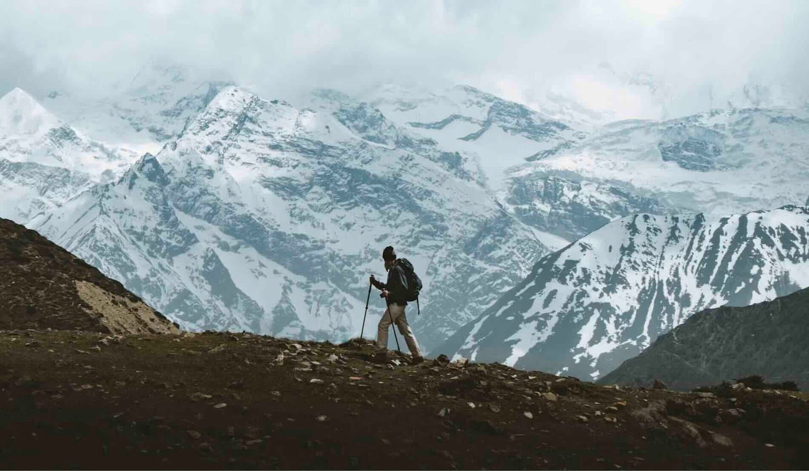 Yüksek Himalayalarda 160 Yıldır Bilim Adamlarının İlgisini Çeken Gizemli Bir Hayvan Şaşırtıcı Bir Sır Ortaya Çıkardı