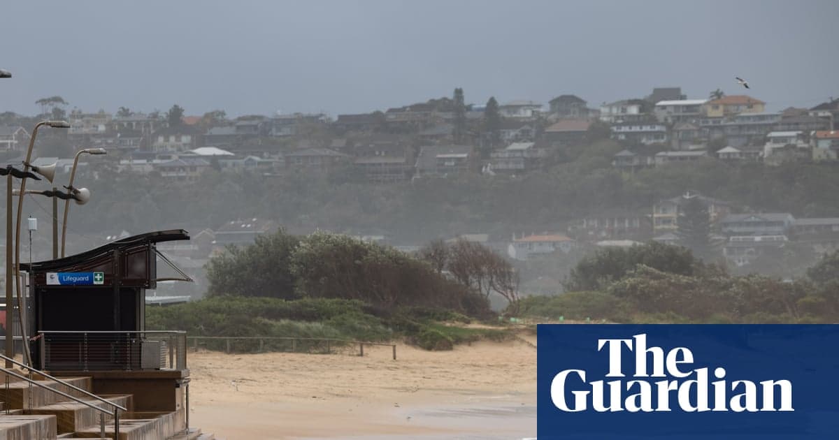 Adam Dee yakınlarındaki köpekbalığı saldırısında ölüyor Neden Sydney'in Kuzey Plajlarında | Sydney