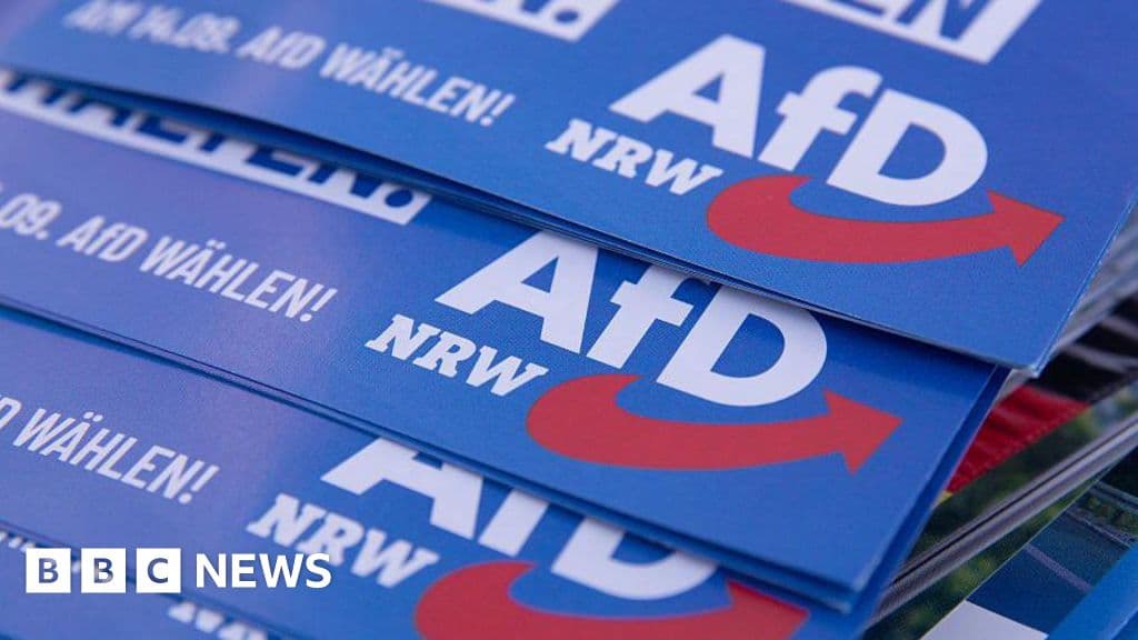 Almanya'nın aşırı sağ AFD'si, yerel oylamadan önce bir dizi aday ölüm yaşar