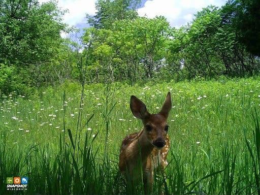 Anlık görüntü Wisconsin, toplanan 10 yıl ve 100 milyon fotoğrafı kutluyor!