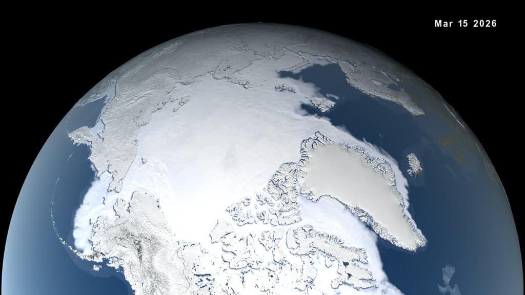 Arktik Kış Deniz Buzu Bağları Rekor Düşük, NASA ve NSIDC Bilim Adamları Buldu