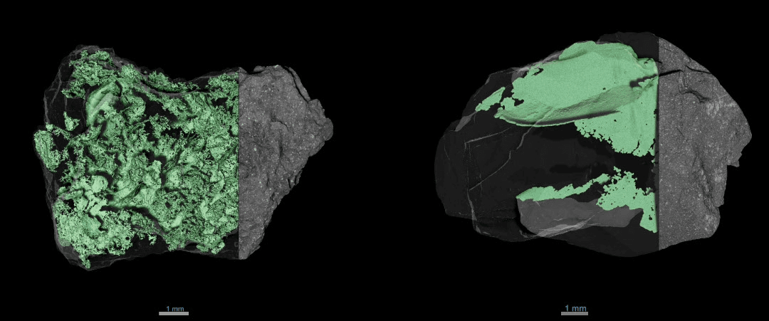 Asteroid Bennu'nun Sağlam Yüzeyi NASA'yı Şaşırttı, Sonunda Nedenini Biliyoruz