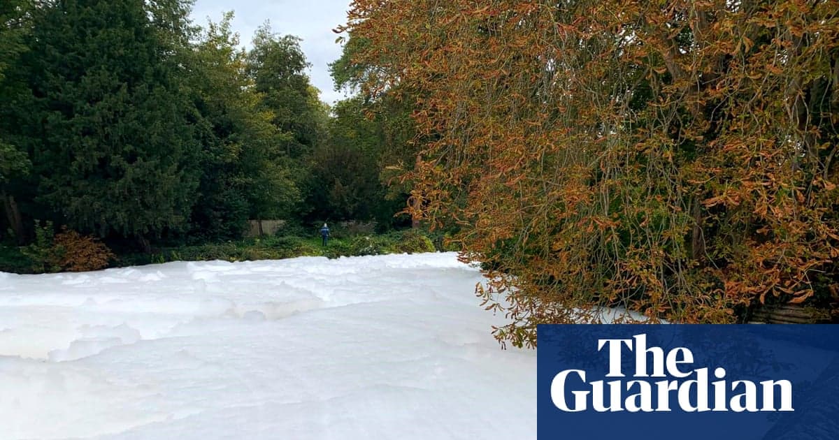 Büyük beyaz köpüğün ortaya çıktığı Thet Nehri'nde ölü balık bulundu | Norfolk