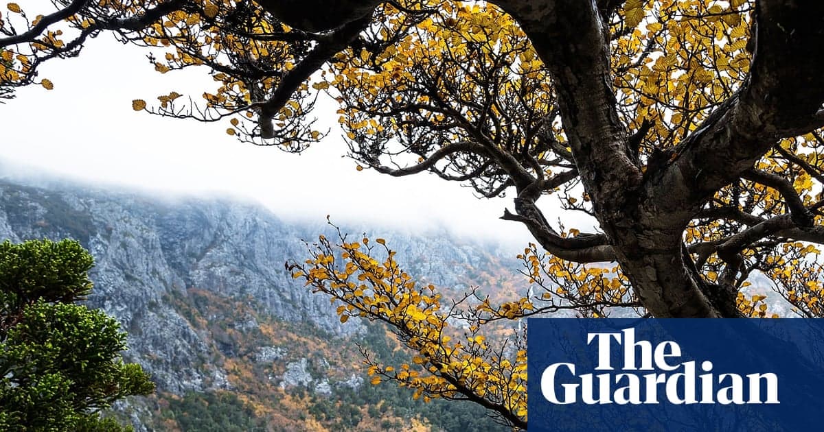 Cradle Mountain Turist, Milli Park'ta Aşırı Hava Durumu Boğulmuş Yürüyüş Grubundan Sonra Öldü | Tazmanya