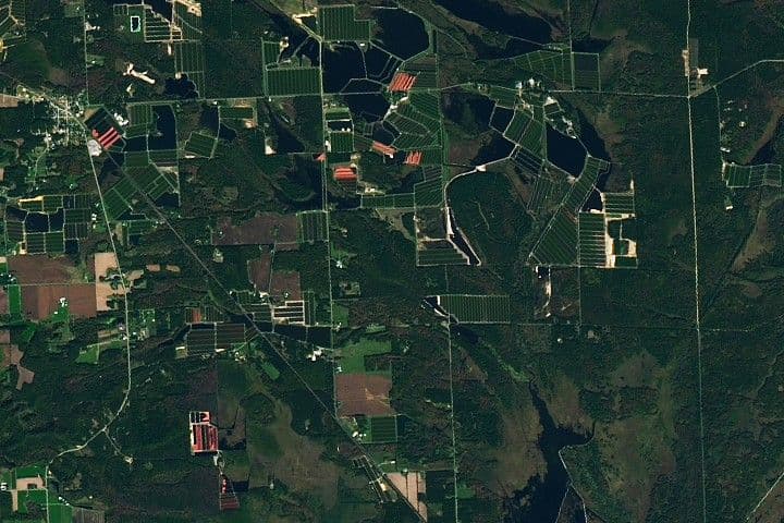 Cranberry Country, Wisconsin - NASA Bilimi