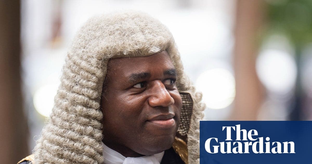 David Lammy, iş mahkemesi davaları için işçilerden ücret talep edilmesini reddediyor | İstihdam mahkemeleri