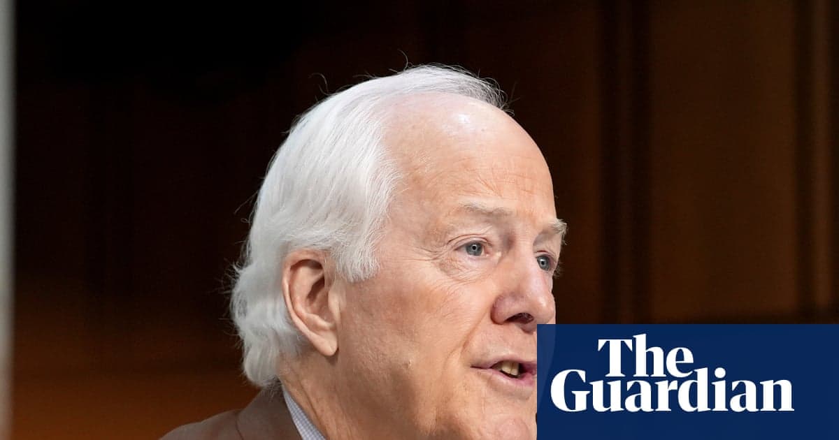 Demokratlar Teksas Senatörünü Milletvekillerinin Bulunmasında FBI rolü olduğu iddiasıyla kınıyor | Cumhuriyetçiler