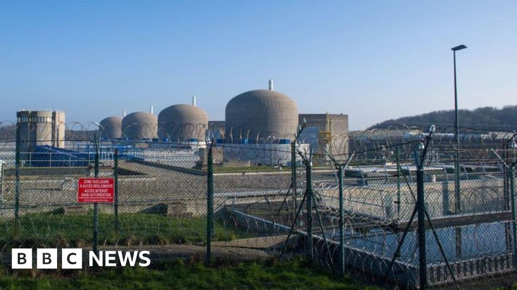 Denizanası Fransız nükleer enerji santralini ikinci kez bozuyor