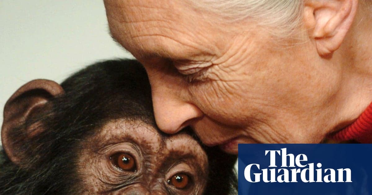 Dünyaca ünlü primatolog Jane Goodall, 91 yaşında öldü | Jane Goodall