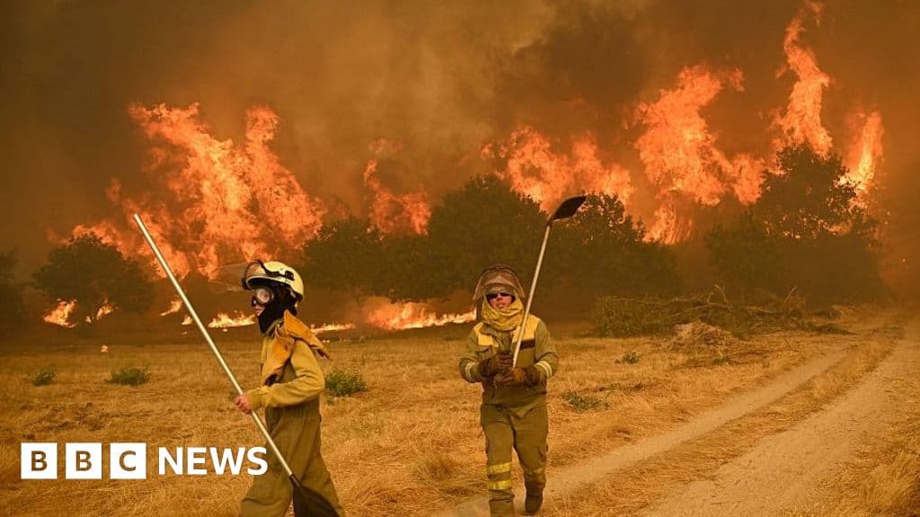 Heatwave devam ederken İspanya ve Portekiz'de yangın öfkeleri öfke
