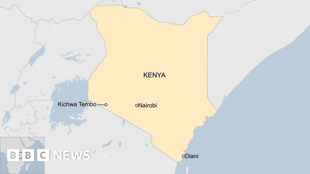 İçinde 12 kişinin bulunduğu uçak Kenya kıyılarına düştü