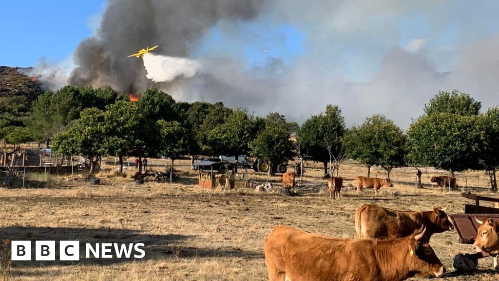 İspanya "Kabus" Wildfire Summer'ın maliyetini sayıyor