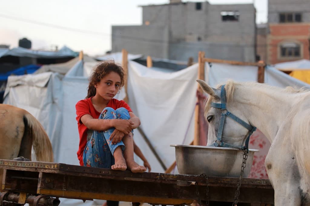 Israeli attacks kill at least 19 Palestinians today