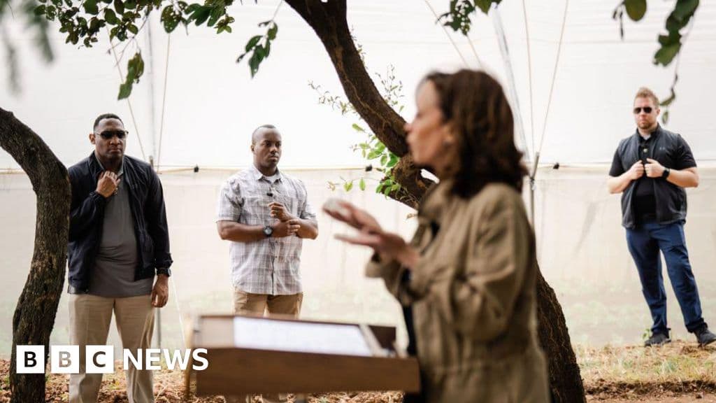 Kamala Harris'in Gizli Servis Ayrıntısı neden geri çekildi?