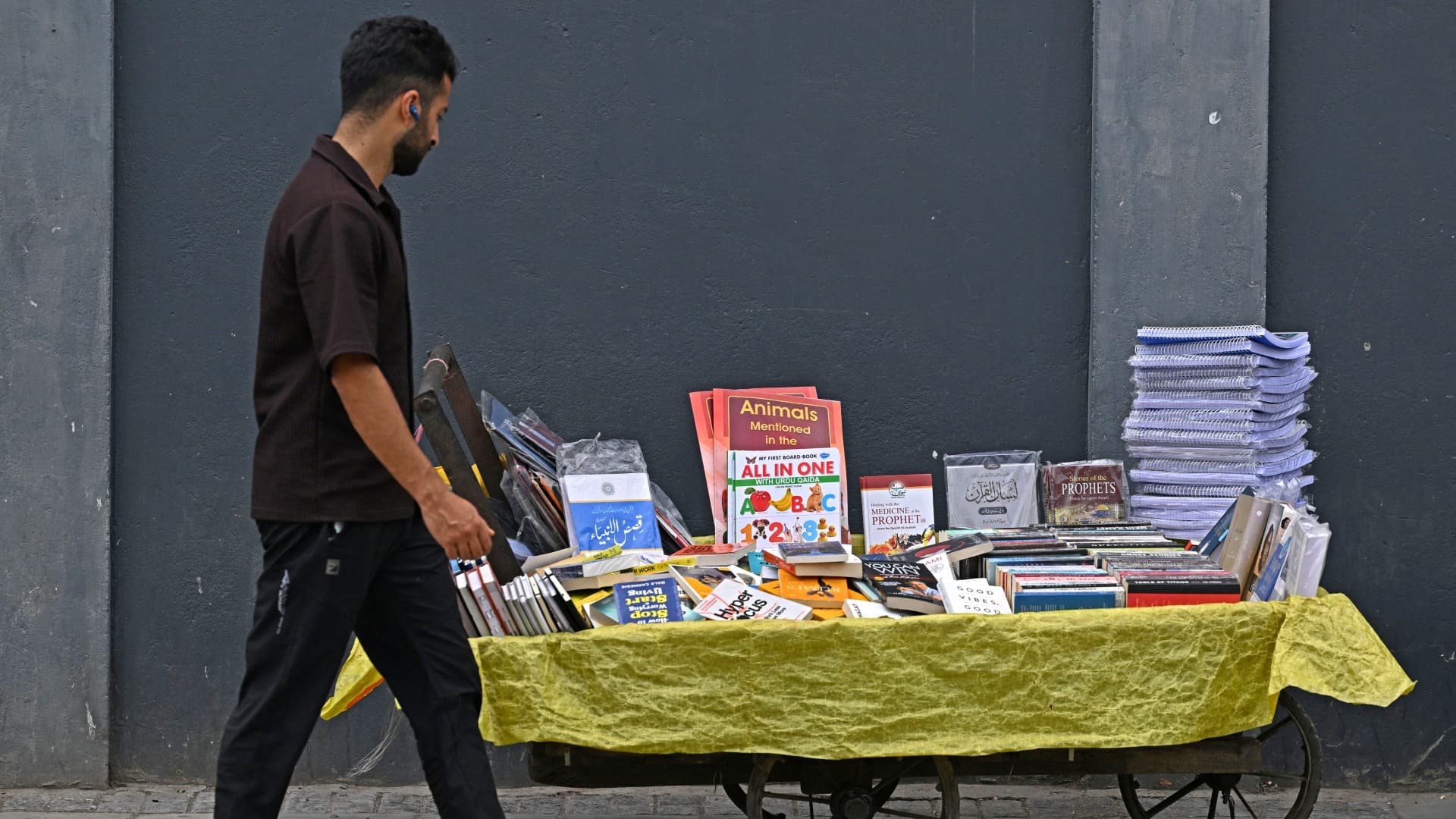 Kashmir: India bans books by prominent writers over alleged 'secessionist' content