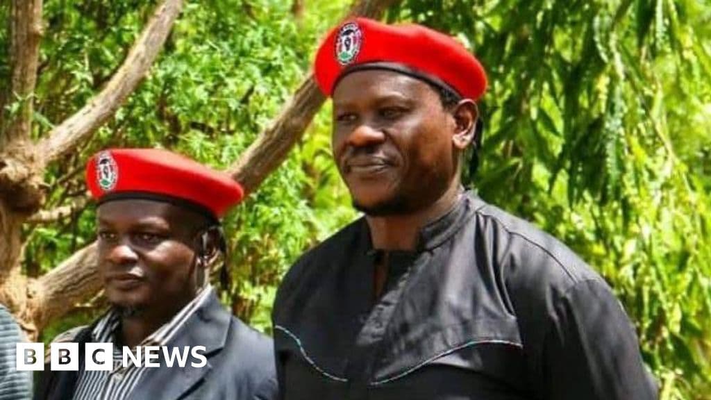 Kenyalı aktivistler Uganda'da kaçırıldı, Bobi Wine diyor