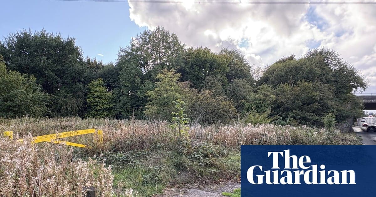Milletvekilleri Sih Kadın Irksal Motive Tecavüz İddia Olduktan Sonra Şok Express | West Midlands