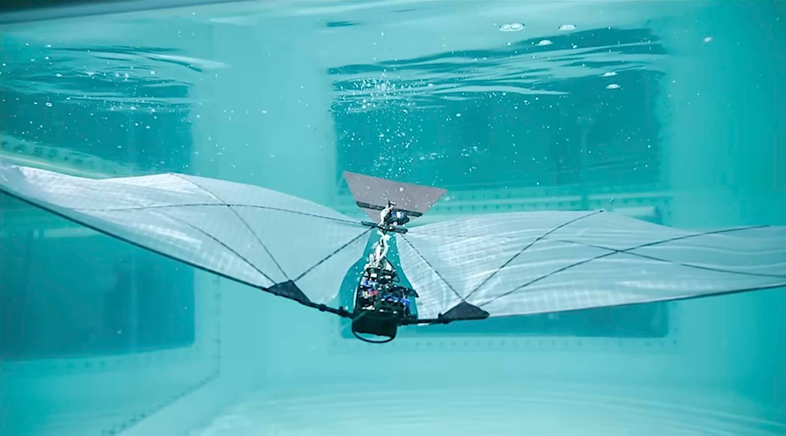 MIT Mühendisleri Sualtında Yüzebilen ve Kuş Gibi Uçabilen Yeni 'Hava-Su' Robotunu Ortaya Çıkardı